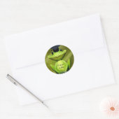 Sticker Rond Grenouille mignonne adorable, Casquette de remise (Enveloppe)