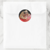 Sticker Rond Grenouille mûre (Sac)