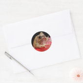 Sticker Rond Grenouille mûre (Enveloppe)