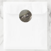 Sticker Rond Grenouille sale (Sac)