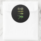 Sticker Rond Grenouille Tadpole Métamorphose Cycle de vie Biolo (Sac)