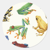 Sticker Rond Grenouilles sur blanc naturel (Devant)