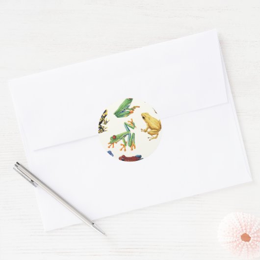 Sticker Rond Grenouilles sur blanc naturel (Enveloppe)