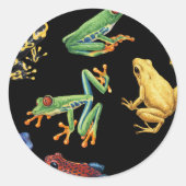 Sticker Rond Grenouilles sur noir (Devant)