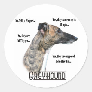 Sticker Rond Greyhound FAQ Sicker
