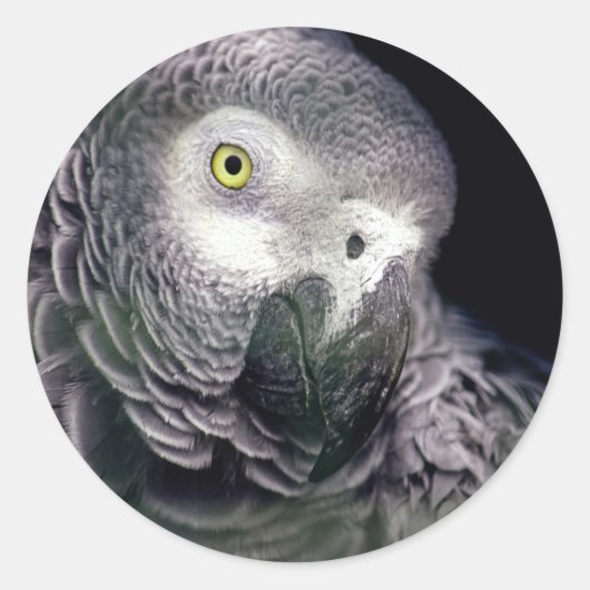 Sticker Rond gris africain (Devant)
