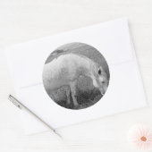 Sticker Rond Gris tacheté (Enveloppe)