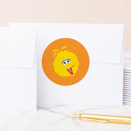 Sticker Rond Gros Bec Visage