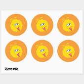 Sticker Rond Gros Bec Visage (Feuille)
