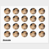 Sticker Rond Gros Chats - 8 (Feuille)