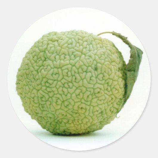 Sticker Rond Gros héraut vert (Devant)