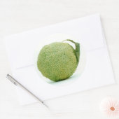 Sticker Rond Gros héraut vert (Enveloppe)