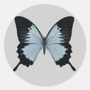 Sticker Rond Gros Papillon bleu et noir