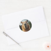 Sticker Rond Gros plan Capybara (Enveloppe)