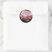 Sticker Rond Gros plan Rose (Sac)