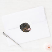 Sticker Rond gros rottweiler (Enveloppe)