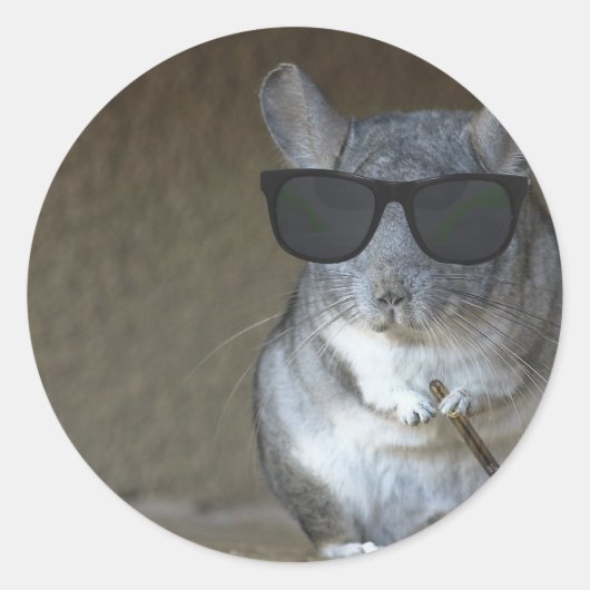 Sticker Rond Gros Tournage Chinchilla (Devant)