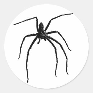 Sticker Rond Grosse araignée d'halloween effrayant