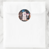 Sticker Rond Groupe de chats assis dans l'espace (Sac)