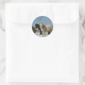 Sticker Rond Groupe de Chevaux miniatures dans la neige (Sac)