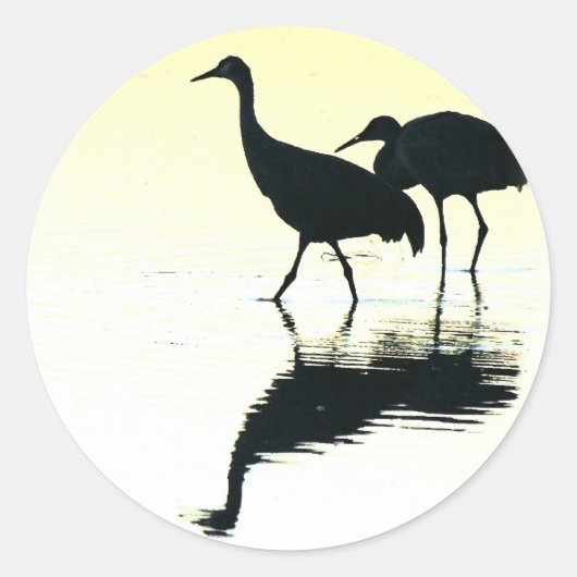 Sticker Rond Grue de Sandhill Oiseaux Animaux sauvages (Devant)