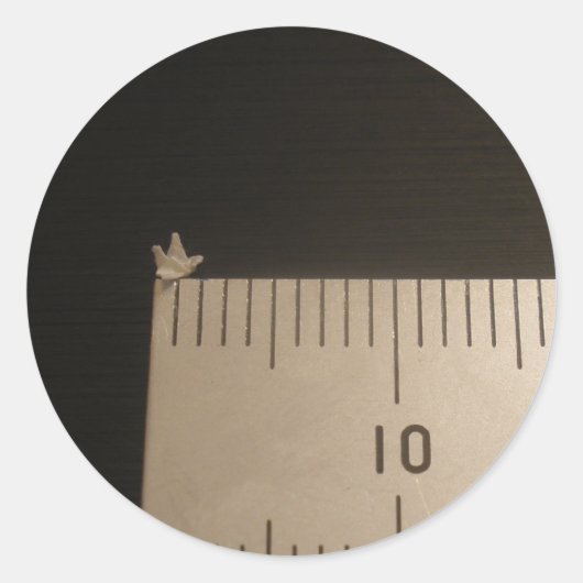 Sticker Rond Grue Origami de 2 mm (Devant)