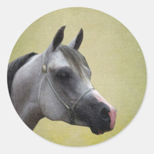 Sticker Rond Grunge Arabe de cheval