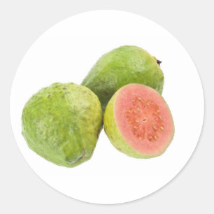 Sticker Rond Guava rose