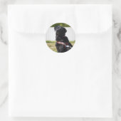 Sticker Rond Guide Dog Envelope Seal – Black LabradorWisdom (Sac)