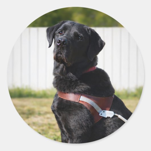 Sticker Rond Guide Dog Envelope Seal – Black LabradorWisdom (Devant)