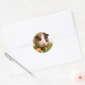 Sticker Rond guinea pigs on a lawn (Enveloppe)