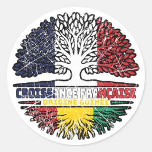 Sticker Rond Guinée Guinée Guinée France drapeau des racines d'
