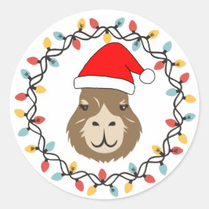 Sticker Rond Guirlande lumineuse de Noël avec capybara mignon e