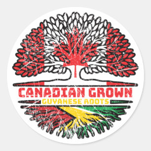 Sticker Rond Guyana Guyane Drapeau canadien des racines d'arbre