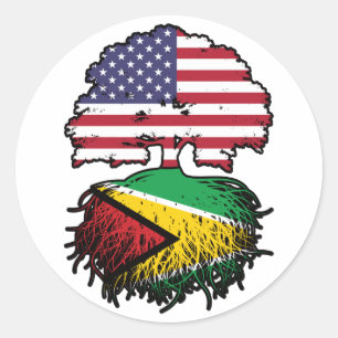 Sticker Rond Guyane Guyane Américaine Etats-Unis Drapeau des ra