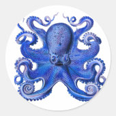 Sticker Rond Haeckel Octopus Blue (Devant)