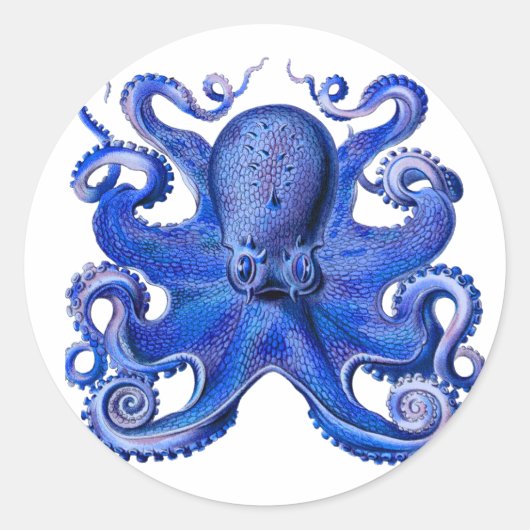 Sticker Rond Haeckel Octopus Blue (Devant)