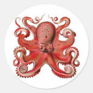 Sticker Rond Haeckel Octopus Red