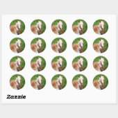 Sticker Rond Haflinger Horse mignon Bébé Foal Baiser Mum Pony P (Feuille)