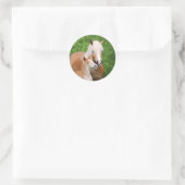 Sticker Rond Haflinger Horse mignon Bébé Foal Baiser Mum Pony P (Sac)