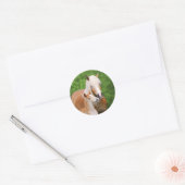 Sticker Rond Haflinger Horse mignon Bébé Foal Baiser Mum Pony P (Enveloppe)