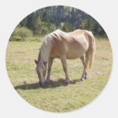 Sticker Rond Haflinger Palomino Pony en été Pony Photo (Devant)