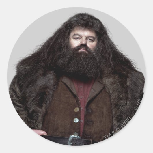 Sticker Rond Hagrid et Chien (Devant)