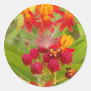 Sticker Rond Hakuna Matata adorable bourgeons de fleurs vert ro