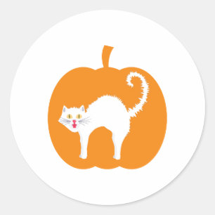 Sticker Rond Halloween chat noir, citrouille chat éffrayant Hal