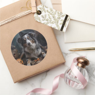 Sticker Rond Halloween Citrouille berger australienne effraie