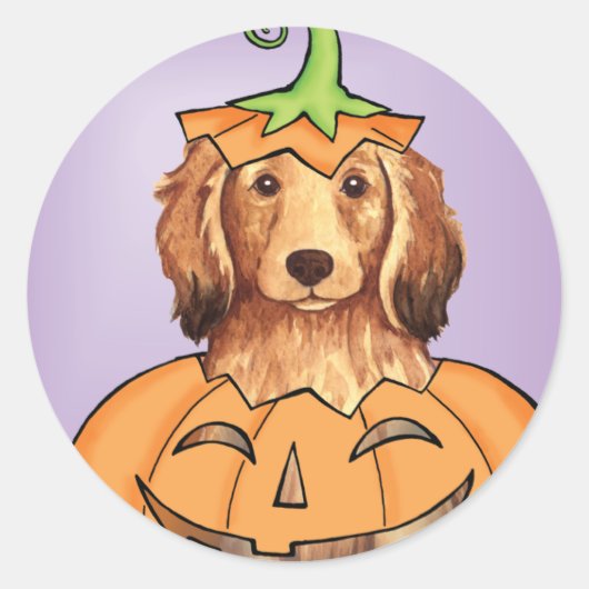 Sticker Rond Halloween Dachshund (Devant)