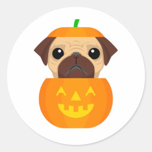 Sticker Rond Halloween Pugkin