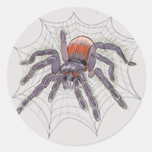 Sticker Rond Halloween Spider Déplaisant Fun