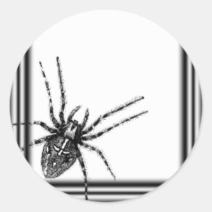 Sticker Rond Halloween Tarantula encadrée